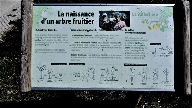 verger de la Balastière - mnpc