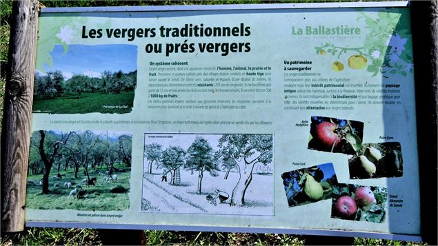 verger de la Balastière - mnpc