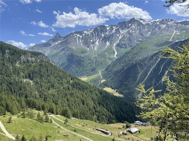 Vue - @François