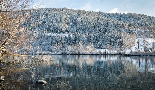 Marais 3 Hiver