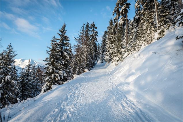 Chemin - Les Arcs