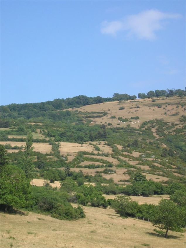 Col de plain Champ