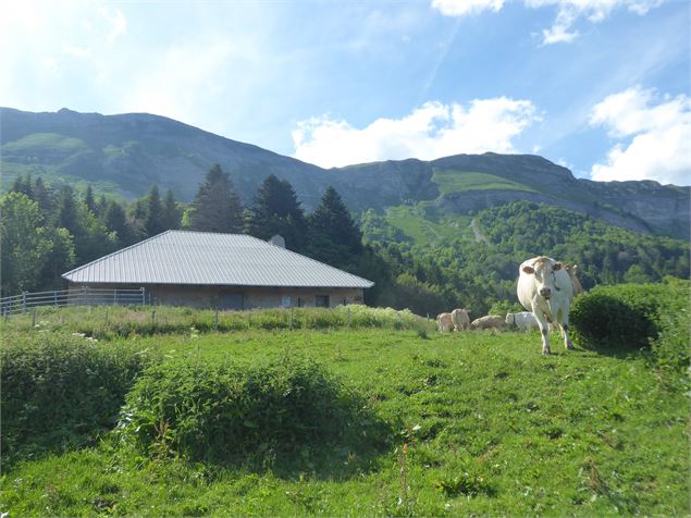 Chalet de Branveau - ©AMBarbe