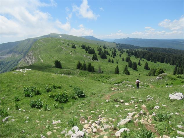 Vue sur les crêtes - ©AMBarbe