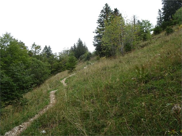 Chemin - ©AMbarbe