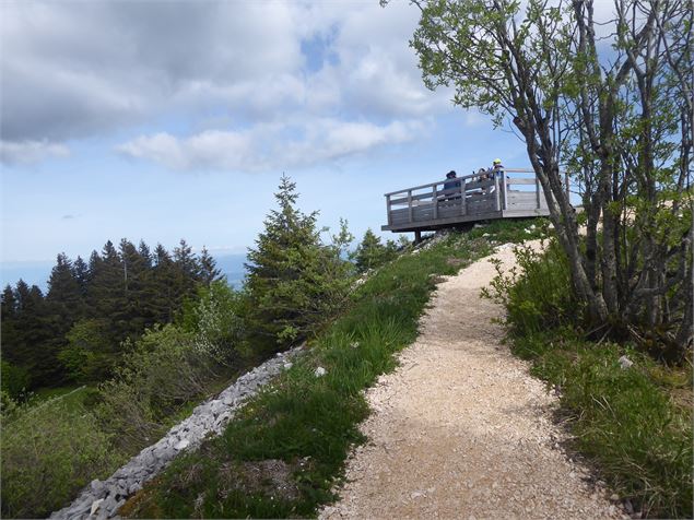 Chemin - ©iAM Barbe