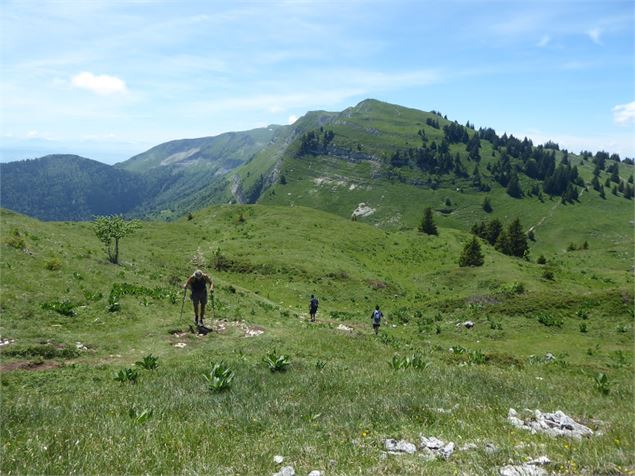 Vue depuis crêtes - ©iAM Barbe