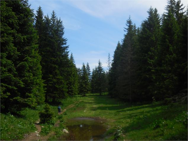 Chemin - AMBarbe