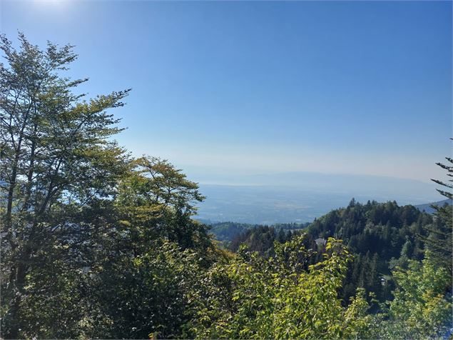 Vue Suisse - ©OTpaysdegex