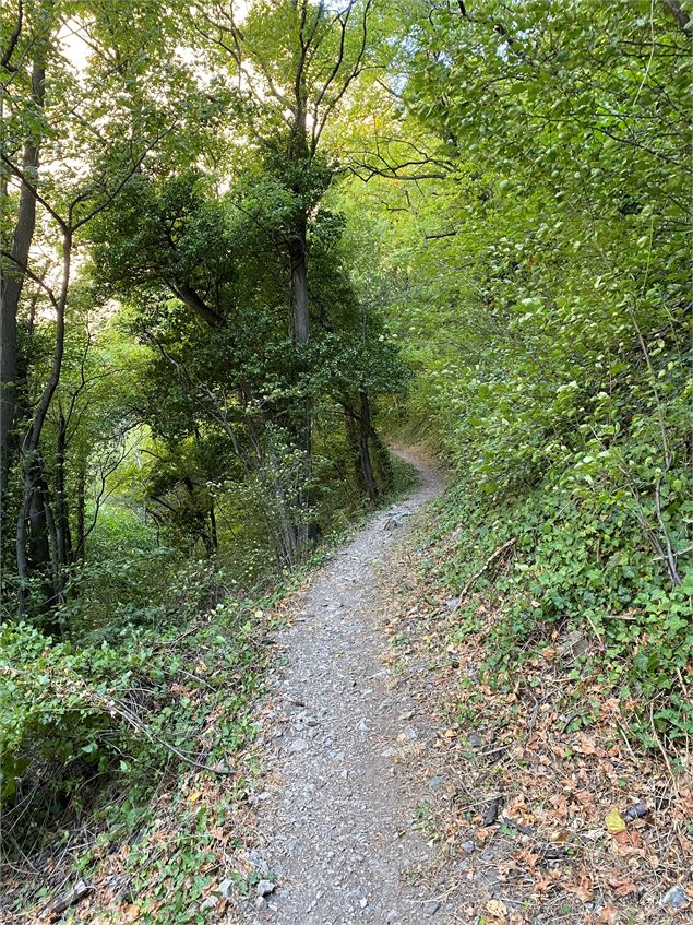 Les gorges de la Ravoire - OT Montagnicimes