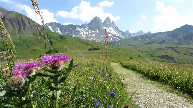 Sur le TAA en été, les Aiguilles peuvent être enneigées - K.Mandray