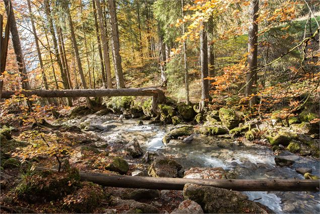 La jolie rivière juste au dessus de la Cascade d'Ardent - Yvan Tisseyre / OT Vallée d'Aulps