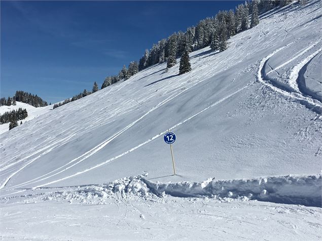 piste bleue les Myryilles - Office de Tourisme des Alpes du Léman - Gilles Place