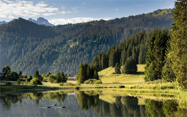 Morgins -  Lac de Morgins_Morgins - Sylvain Cochard