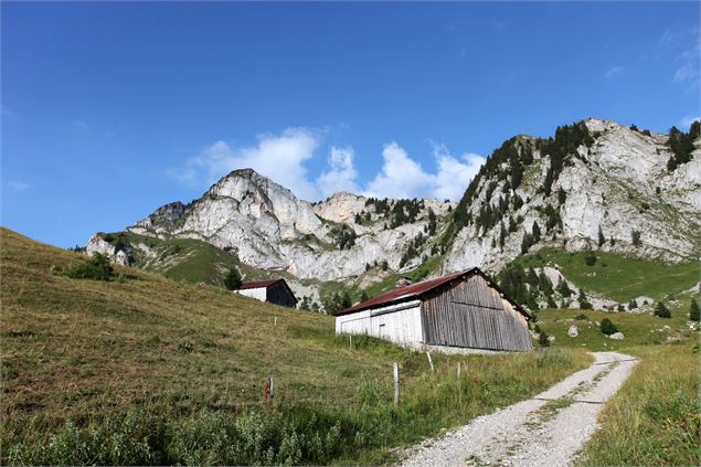 Arrivée à l'alpage de Charmettes par la piste forestière de Vérage - Cyril Noel