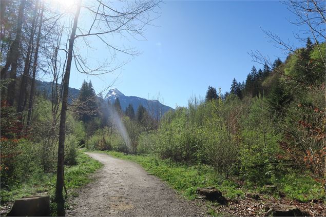 Bord de Dranse - Victor Demilly / Vallée d'Aulps Tourisme