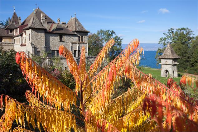Château de montjoux - Pierre Thiriet