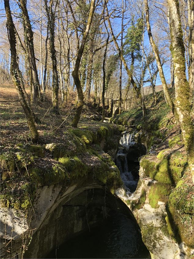Pont des Tines - Haut Valromey - Office de tourisme Bugey Sud Grand Colombier