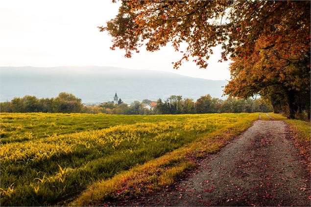 Vuache en Automne - OT Monts du genevois - A.Modylevskaia