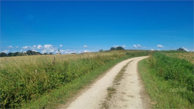 Circuit VTT-VTC n°13 (rouge) - Les chemins de St Jean - scalland
