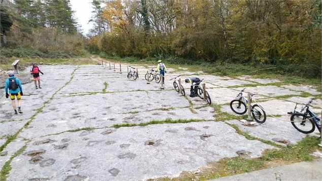 Circuit VTT n°27 (rouge) - Piste des Dinosaures - Falaise de Bérranger - M Monneret