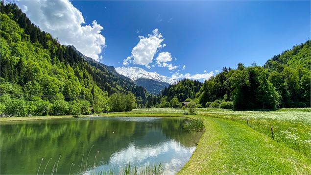 Lac de pêche du Vivier