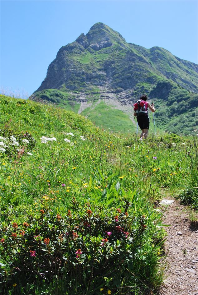 Passage de Savolaire - Tavaneuse - Patrick Brault
