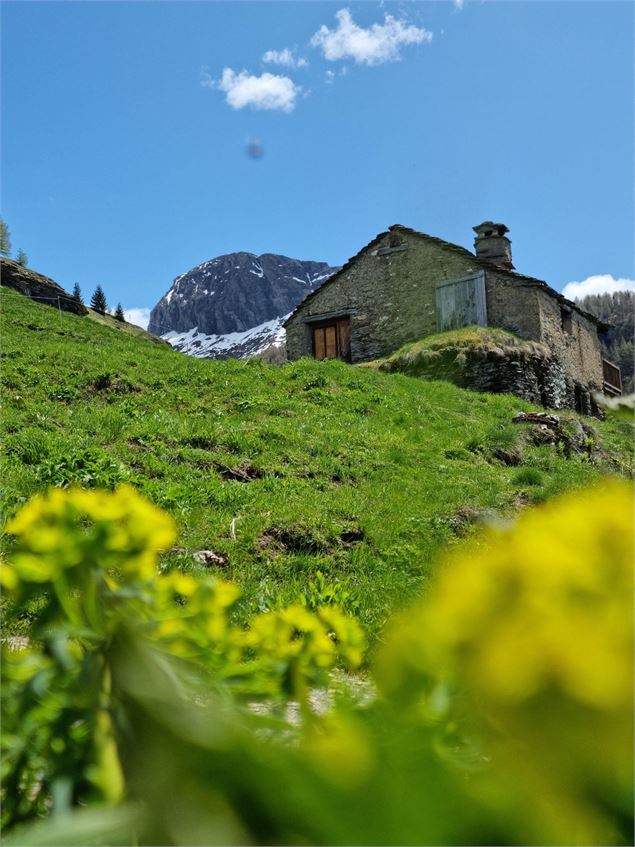 Circuit de randonnée : Nazonde_Sainte-Foy-Tarentaise - Sainte Foy Tourisme