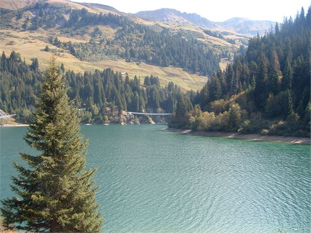 vue_sur_Passerelle - K.Mandray