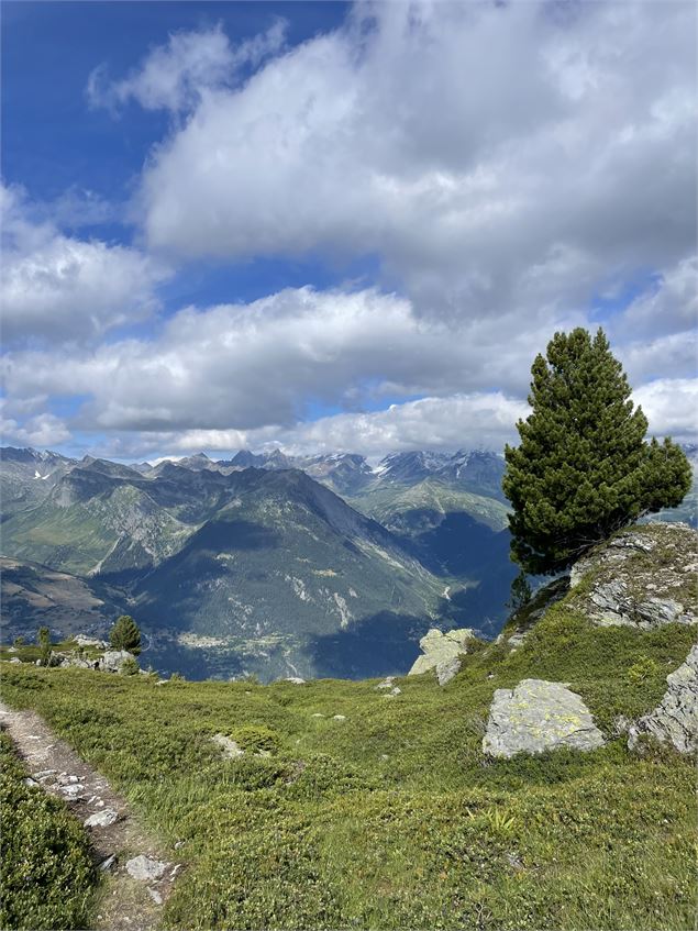 Vue - @François