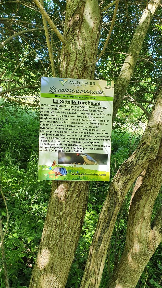 Sentier à thème sur les oiseaux le moulin des combes Valmeinier - Mairie de Valmeinier