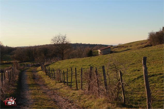 Paysage rural - JBL
