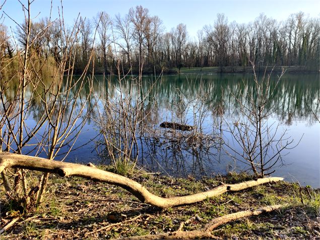 Plan d'eau de Blyes - Marilou Perino