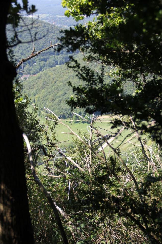 Plateau d'Arnans