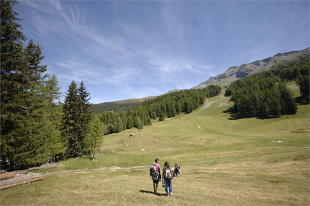 Plateau de Plan Bois - Philippe Royer