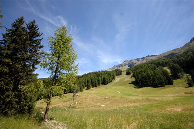 Plateau - Philippe Royer