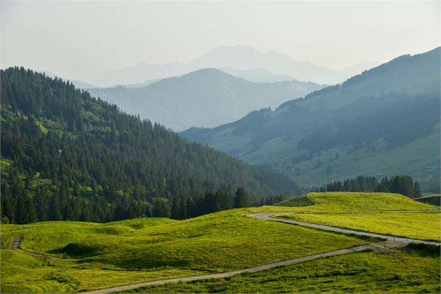 Vue depuis le Col des Annes - D.Machet-Le-Grand-Bornand
