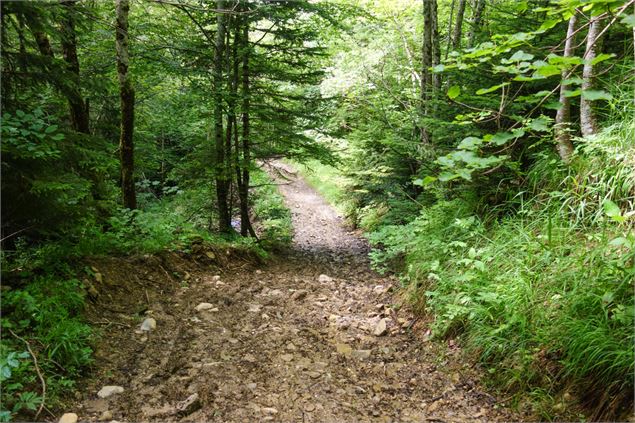 Circuit VTT Aillons Margériaz 1000 - Lac de la Thuile - École de VTT La Féclaz - Massif des Bauges