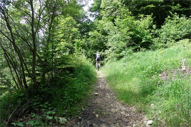 Circuit VTT Aillons Margériaz 1000 - Lac de la Thuile - École de VTT La Féclaz - Massif des Bauges