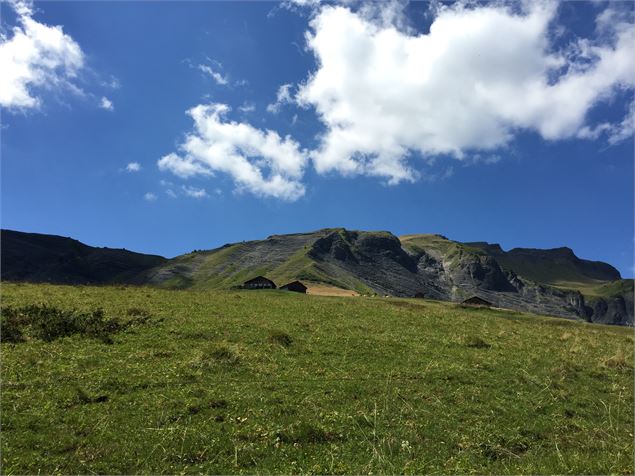Alpage de l'Avenaz - © Patrick DUVILLARD