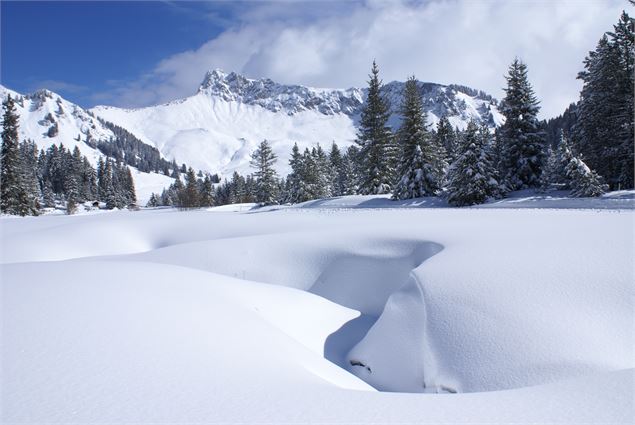 Roche-Pallud - Praz de Lys Sommand Tourisme