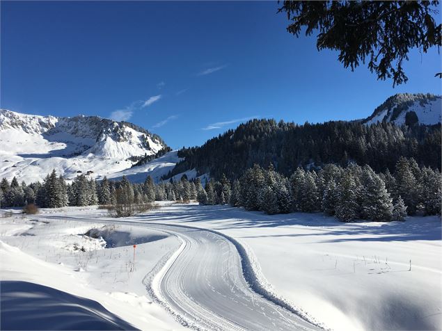 Roche-Pallud - Praz de Lys Sommand Tourisme