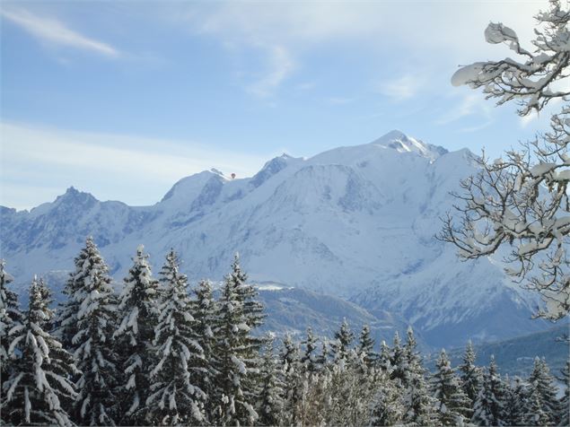 Vue Mont-Blanc entre les sapins - © Xavier et Caroline