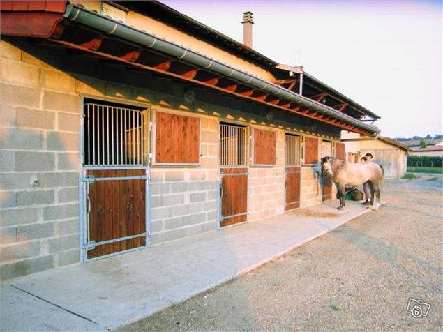 Haras de Challes