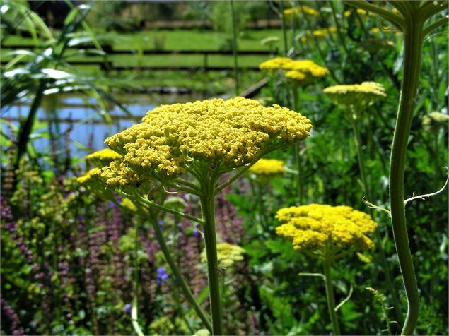 Jardins de Lornay - Jardins de Lornay