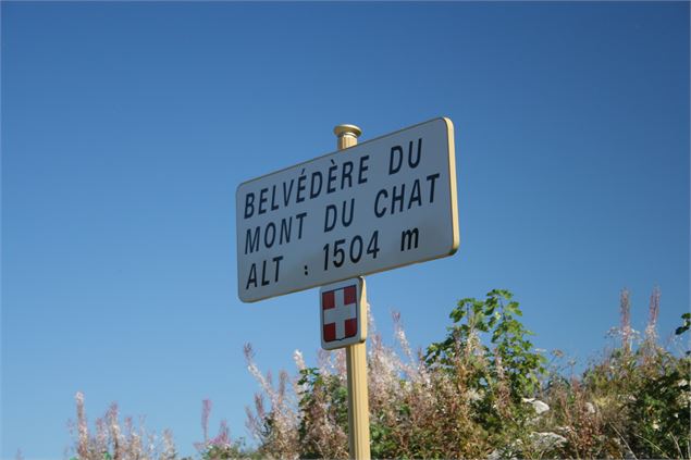 Montée cyclo du Relais du Mont du Chat depuis St-Paul-sur-Yenne - © Savoie Mont Blanc - Anglade