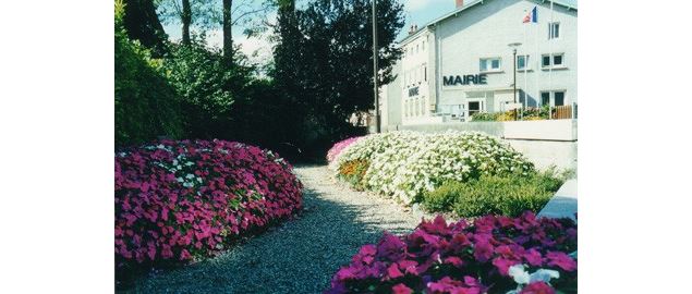 Mairie de Dagneux - OT 3CM