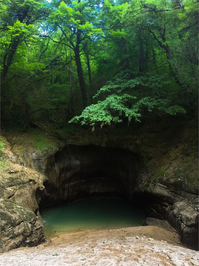 La source du Groin - © E.BEBI