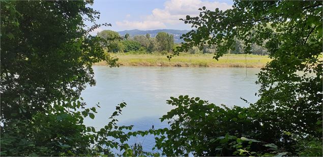 Vue sur le Rhône - M.Ballet