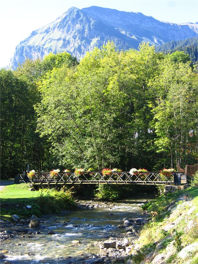 Le Foron - CAMT